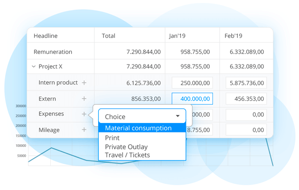 Budget pro eazyproject oekonomi oversigt